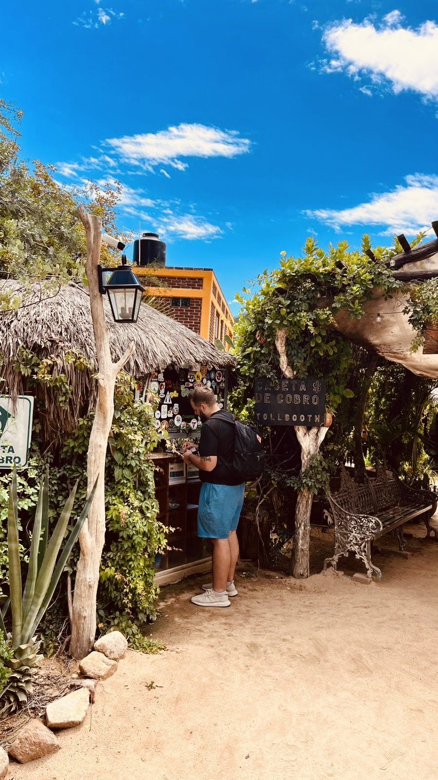 A hidden desert garden